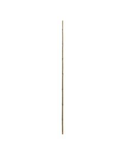Natural bamboo, Giardino Verde, H180 cm, Ø 20-22 mm