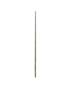 Natural bamboo, Giardino Verde, H180 cm, Ø 50-60 mm