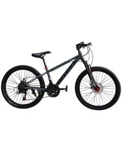 Adult bicycle, Gitma, 24", gray color