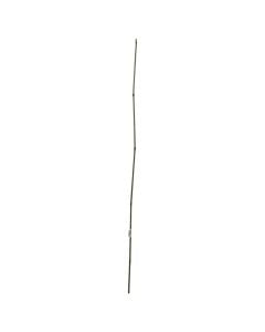 Natural Bamboo, Giardino Verde, H150 cm, Ø 10-12 mm