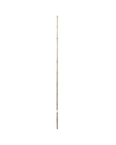 Natural Bamboo, Giardino Verde, H210 cm, Ø 20-22 mm