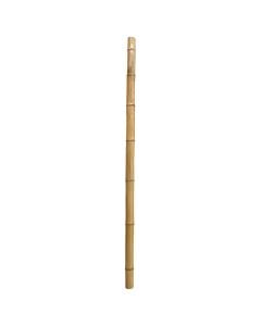 Natural Bamboo, Giardino Verde, H240 cm, Ø 20-22 mm