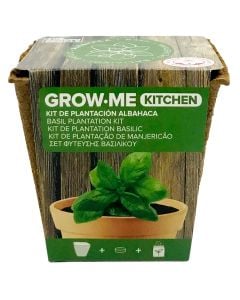 GROW ME KITCHEN Basil wide leaf 1gr