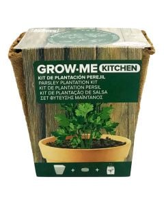 GROW ME KITCHEN Persil Italy Giant 1gr