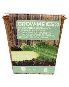 GROW ME PATIO Zucchini Black Beaty 1gr