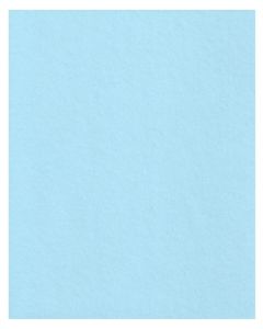 Flete kartoni 220gr 50x70cm e kalter
