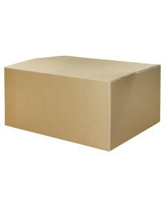 Carton Box 50x60x30cm