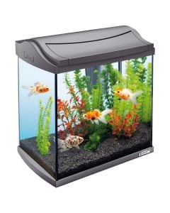 Akuarium Pacifik 30 L