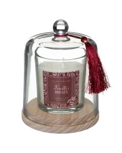 Scented candle, forest fruit scent, with glass cage, D10.7xH13.8 cm