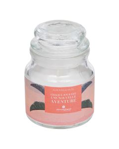 Scented candle, Jomy, hibiscus flower scent, D6.2xH8.7 cm
