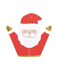 Festive napkins Santa Claus, Christmas, 16x16 cm, 20 pieces
