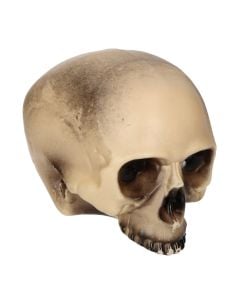 Halloween decorative skull, plastic, 30x20 cm, beige, 1 piece