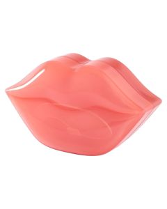 Lip mask, IDC Institute, hydrogel, 22 pieces, 1 pack