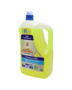 Cleaning detergent, Mastro Lindo, Professional, 5 lt, 1 piece