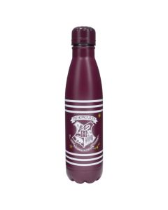 Water bottle, Math, Harry Potter, 550 ml, cherry, 1 piece