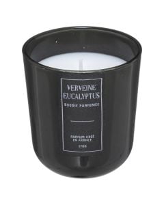 Scented candle with ceramic holder, Eucalyptus wood scent, white, D8 x H8.5 cm, 170 g