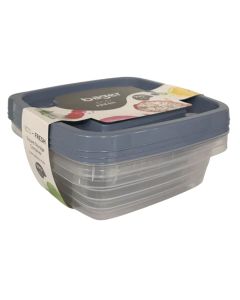 Set of containers with lids (PK 3), plastic, transparent, 990 ml