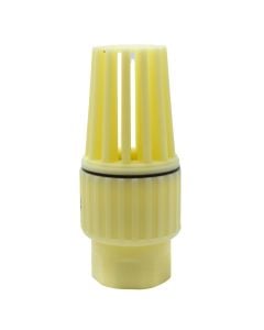 Plastic valve, 1''G, for motor pump