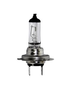Car lamp -H7-PX26D-12V-55W