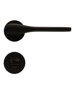 Door handle with circular rosettes, for toilet