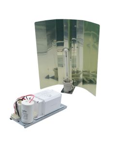 Set, lamp 600W, E40, 90000lm, 5000hrs, 2-3 minutes full lighting
