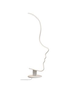 Floor led light,face shape, 3000-6000K,  iron/aluminium, white
