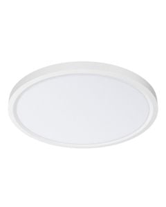 Ceiling light, 20W, 1980lm, 3000-6400k, D.23cm, white
