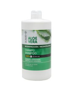 Shampoo for hair, with Aloe Vera extract, Dr. Santé