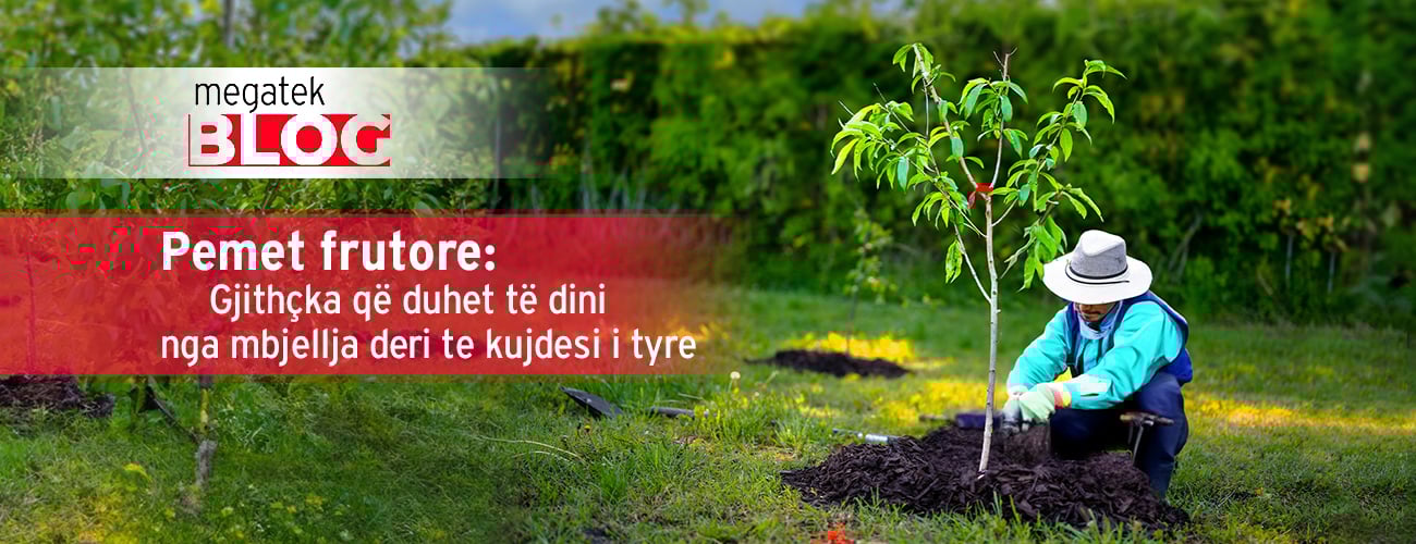 Pemët Frutore: Gjithçka që duhet të dini nga mbjellja deri te kujdesi i tyre